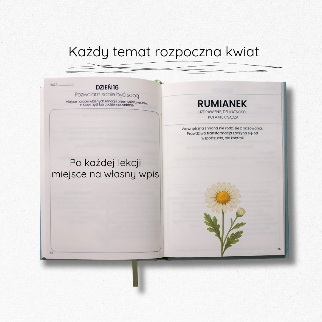 dziennik jestem – 30 lekcji które zmieniają codzienność
dziennik rozwojowy  – praktyczne zadania
minimalistyczny dziennik do pracy nad sobą
dziennik dla kobiet
produkt cyfrowy jestem – dziennik do refleksji
wnętrze dziennika – codzienne lekcje i pytania
dziennik emocji 
strony dziennika – ćwiczenia i psychotricki
dziennik autorefleksji
dziennik 
journaling
jak pokochać siebie 
